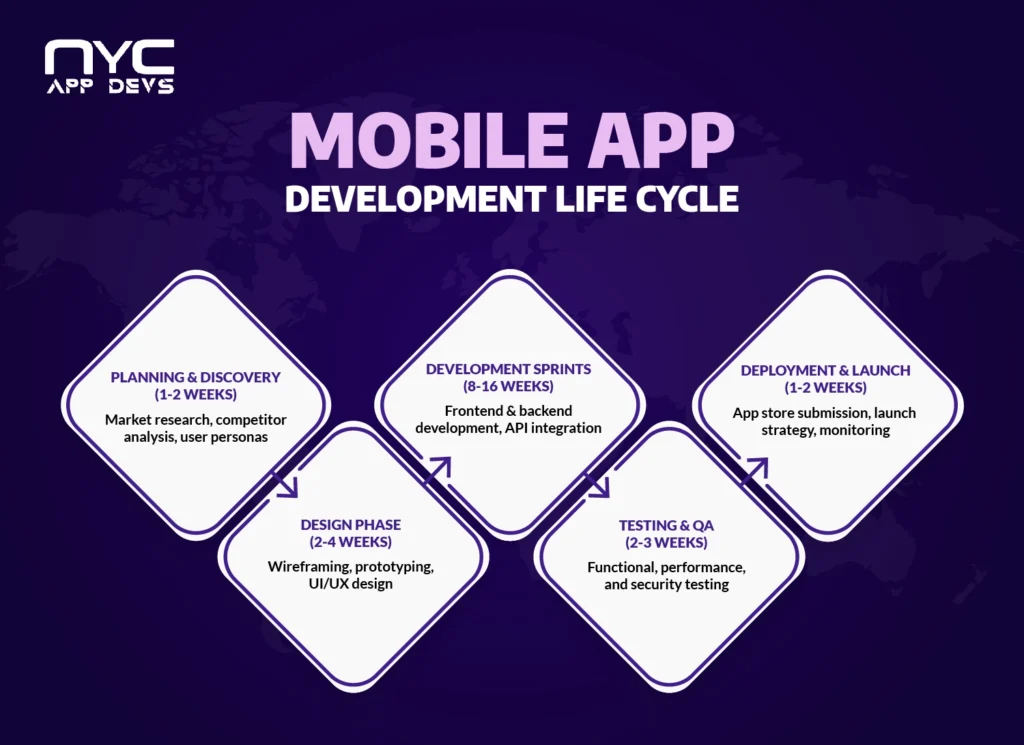 Infographic showing the mobile app development life cycle with five stages — planning, design, development sprints, testing, and deployment — including timelines and tasks.